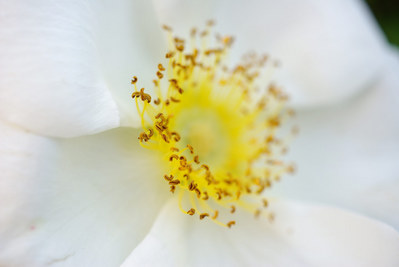 20080501_41