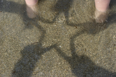 20080501_16