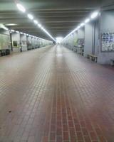 c40158e8.jpg
