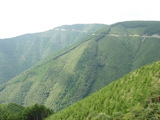 DSC04786