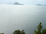 DSC04817