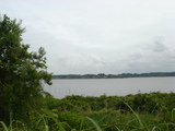 hinuma