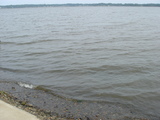 hinuma