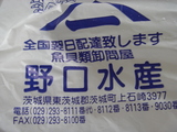 shijimi