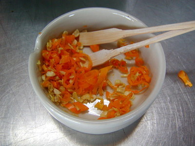 20100110ayagawa