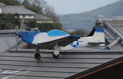 20100110daikuya3333