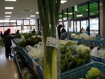 20100110ayagawa3333