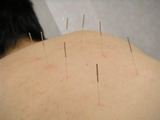 d595bcc8.JPG