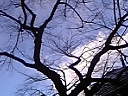 d17c0e6c.jpg