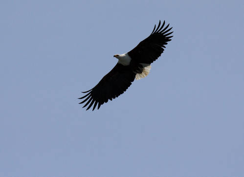 IMG_1670_1