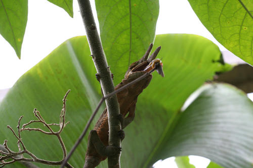 IMG_0619_1