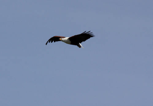 IMG_1666_1