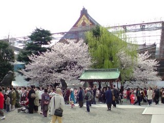 ������Ҥ��鸫������������������