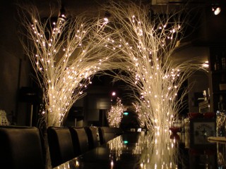 Bar Barbra Ginza