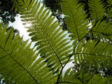 DSC00466