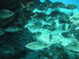 PICT0039