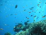 PICT0019