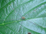 DSC00483
