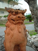 DSC00504
