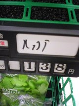 ルッコラ1