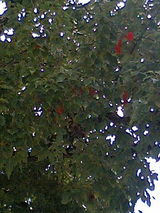 59d9eb76.JPG