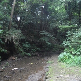 mushi03