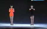 ���Ŀ�����������The Ice 2008