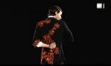 ���ƥե��󡦥��ӥ����롡Art on Ice 2009