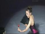 ¼��ϻޡ�Dream On Ice 2006