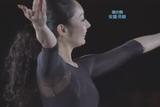 ��ƣ��ɱ��The Ice 2008