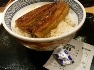 20080529