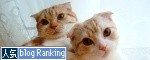 ���ȥ���롼������ɼ��