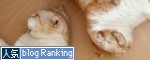 ����å��Ǽ��ޤ췻�����ɼ