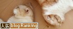����å��ǿ͵��֥�����󥭥󥰤�