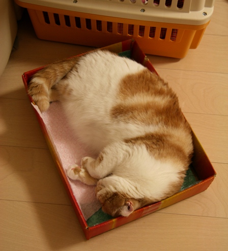 �ߤä��ꡣ