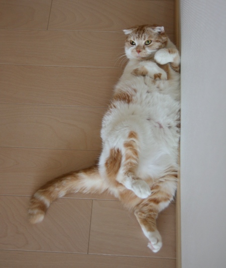 �֤�ꡣ
