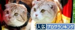 ����å��ǥ��ȥ���롼������ɼ