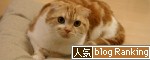 ����å��Ǽ��ޤ췻�����ɼ