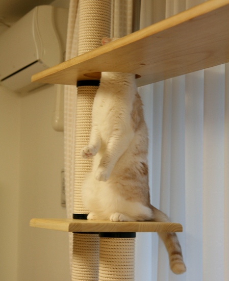 �������ʡ�