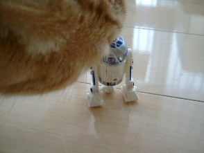 3955