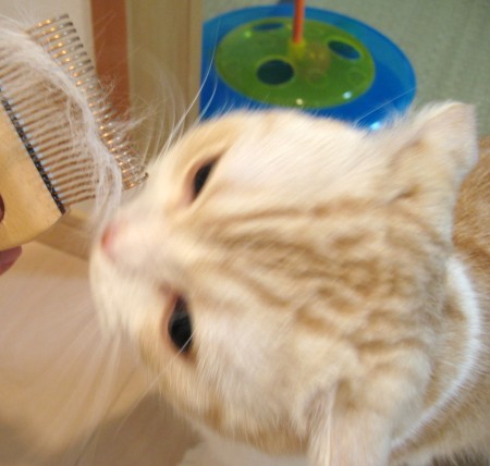 ���٤��㤤���ޤ���
