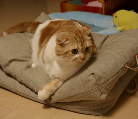 �褤���硣