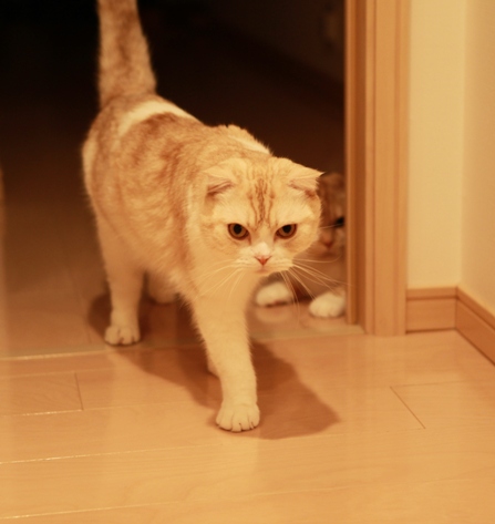 ���󤺤�