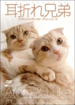 ¼ªÀޤ췻ÄïDVD