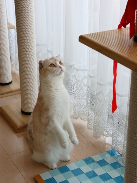 �ߤ硼��