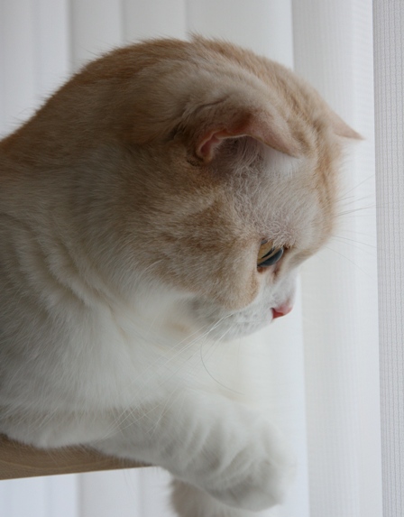 �Ҥ��ꡣ