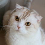 �롼��