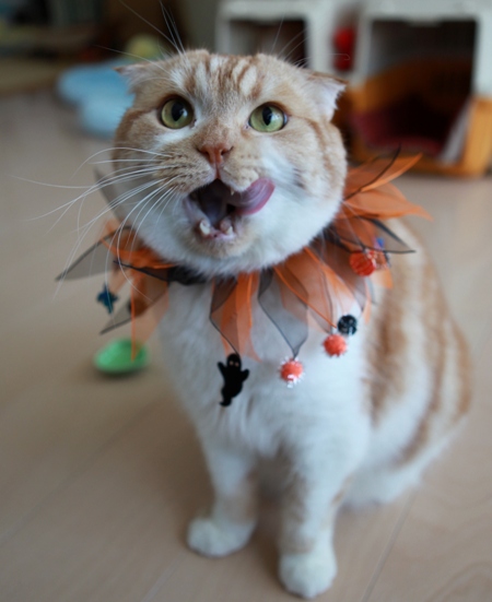 �������餤�ޤ��á�
