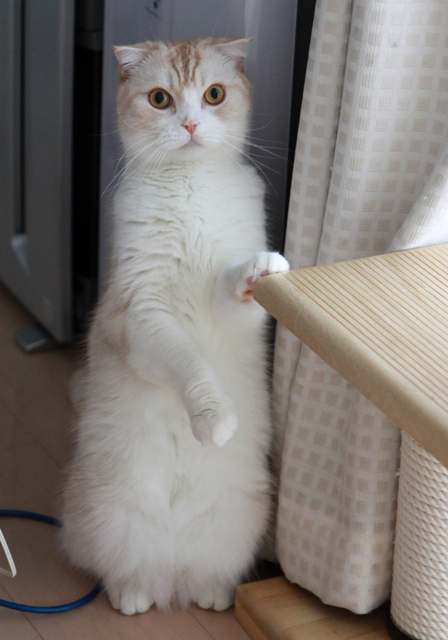 ���á�
