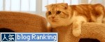 ����å��Ǽ��ޤ췻�����ɼ��
